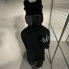 asn.ak7