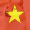 viet_nammaidinh1234