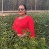 sushila.bhattarai955