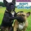 user4208188346916