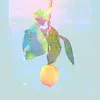 bng.n.ln.nht.n.khu