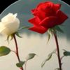 Ahmad Raza5599