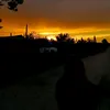 alilalala14