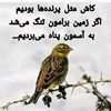 mostafa.mostafa2630