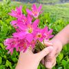 storygarden_