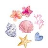 kallluvocean