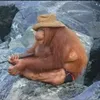 bjjfjdjdjdjjs2