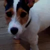 mummy_grobe_says