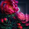 jamal.alaragy