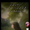 talhafareed958
