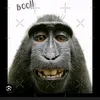 big_monke12018