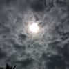 alif_jawa0