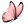 homm_bitkisel995