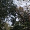 .khantgyi14