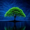 صلِّى على النبي ﷺ🌿