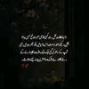 user731436329987