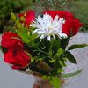 loyse.twarane