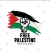 mohamedsoliman8431