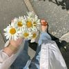 nasreen.lazareery