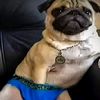 userfehdq76eau