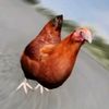 poulet_00