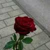user1446187725658