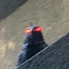 yoo873_