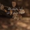 bogy.ali