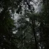 rainstorm.22