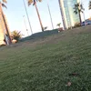 subo_de_todo098