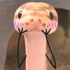 zu_363
