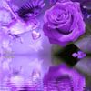 purple_rain178