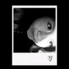 michelle.alisson0