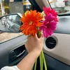 noor.fatima3933