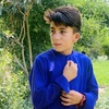 alihassan.22676