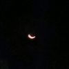_zuleecom
