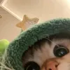 haya__aya
