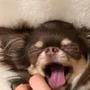 00__sleepy__00