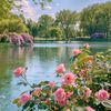 shahiruh.ibrahim