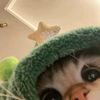 nzlfazyaa
