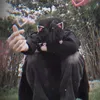 nan.l.a4