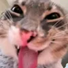 mlekopitaiyshee