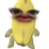 apipahh744