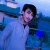 gullzeeb28