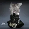 ilu_6006