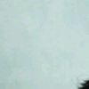 freen_sarocha3