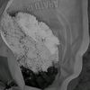 brigithapurba14