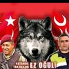 mehmet.lmez461