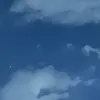 hajiii269