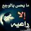 user9186007784011
